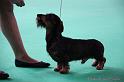 Crufts2011_2 865